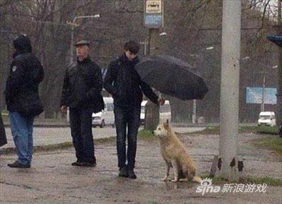 绅士