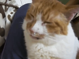 如果你是那个鼻涕泡你还笑的出来吗！