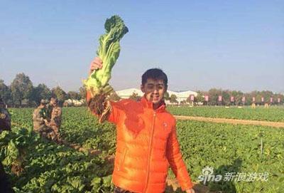 胡萝卜精向您致敬！