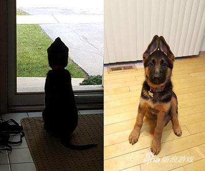 还以为是个钢笔精