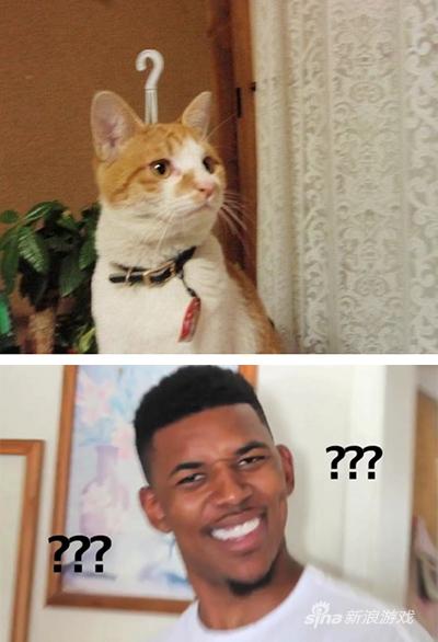 铲屎官过来，剧情任务给你做完了吗