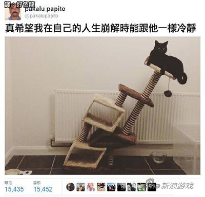 人家有九条命啊