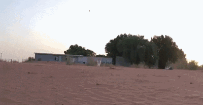 什么，刚刚有人路过并日了我？