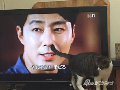 字幕：这才是爱