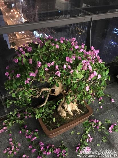 大宇低调宣布《仙剑7》立项