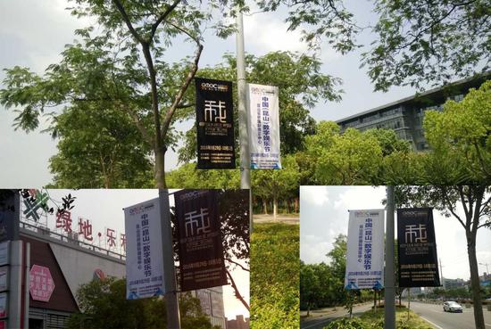 （路边道旗宣传）