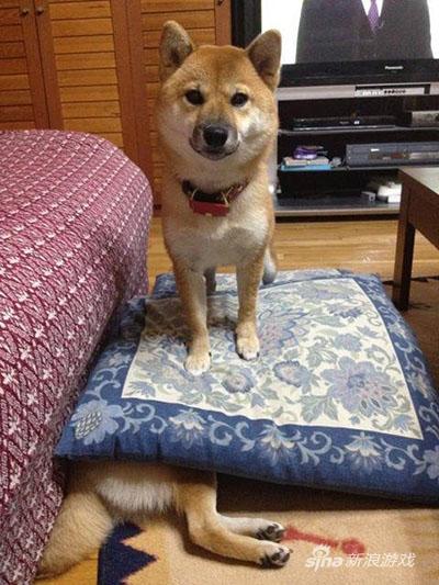 从今天开始你就只有我这一个宝宝了