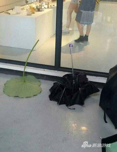 龙猫也在里面么