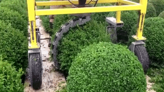 用这个改小号给西瓜去皮一定过瘾