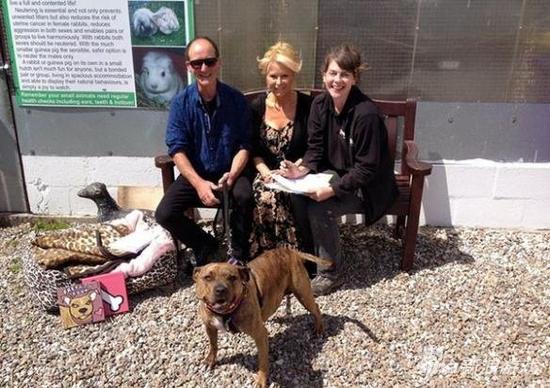 终于有人收养了这只孤独的狗