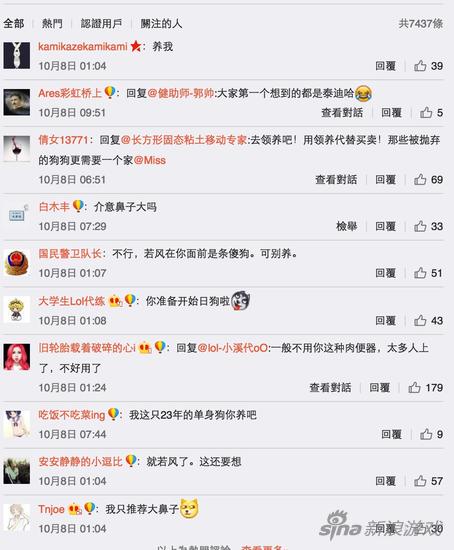 评论区不少网友都推荐单身狗若风