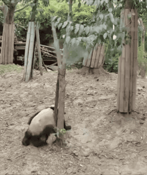仙人跳哦！