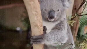 我实在懒得上手