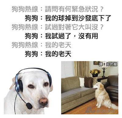 狗狗热线：很高兴为您服务。