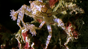 就是不知道好吃不好吃