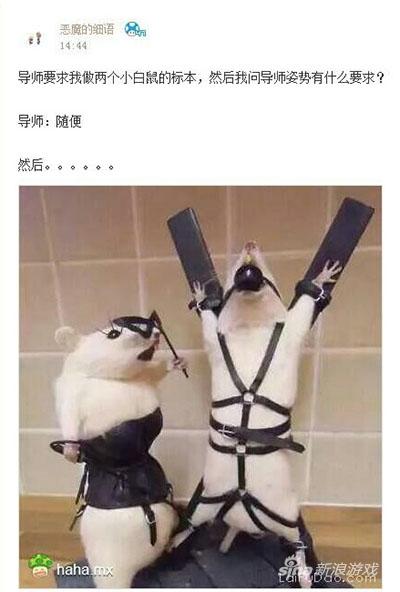 今天做完实验你留一下