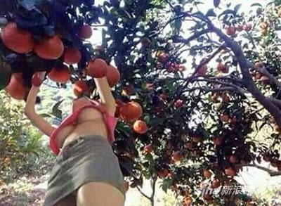 摘个球，走回去困觉