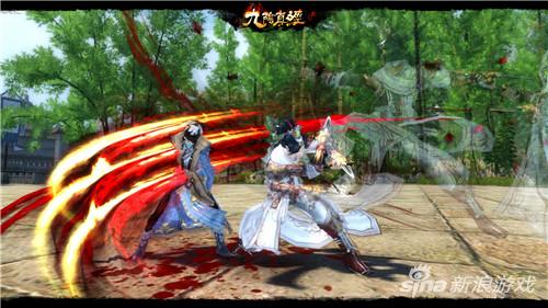 全新武学展示图