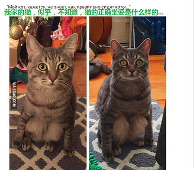 难道是蹲坑蹲时间长了？