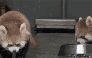 我礼貌性的害怕一下