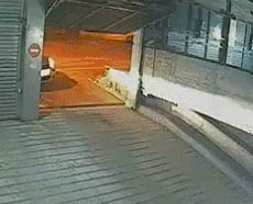 逗 我的设定是比较调皮的