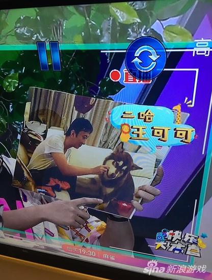 王思聪爱犬被错认二哈