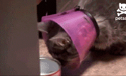 防御+15、敏捷-30