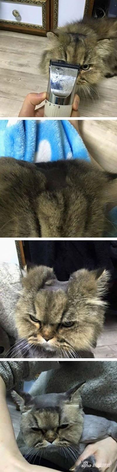 你觉得自己还能活多久