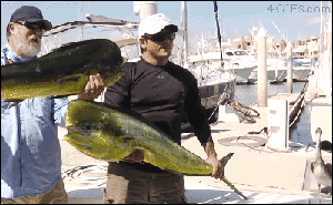 会发生什么就不必我再说了