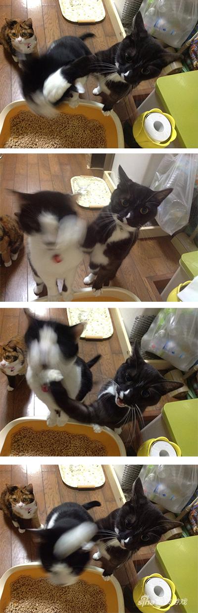 左一不敢直视的眼神中充满了恐惧