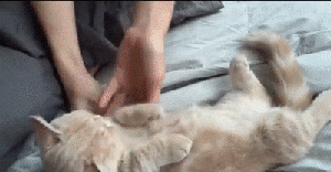 蛋蛋没有了，麻药还没过