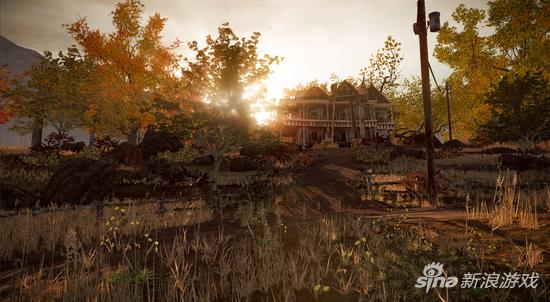 画面不出色但贵在真实