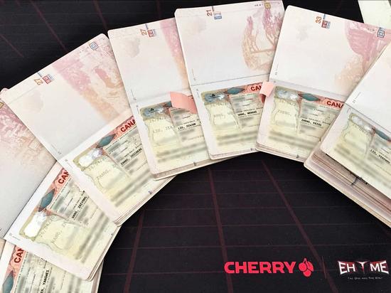 加拿大签证顺利下发