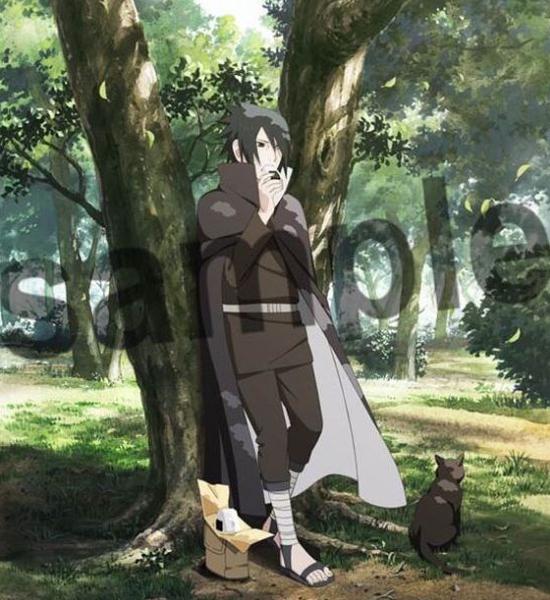 《火影忍者》动画进入新系列