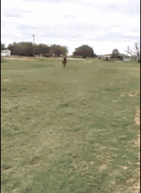 论备胎的个人修养