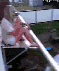 物理老师和数学老师果然都是骗人的