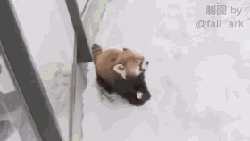 信不信我打死你