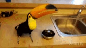 受累能把水龙头关上吗