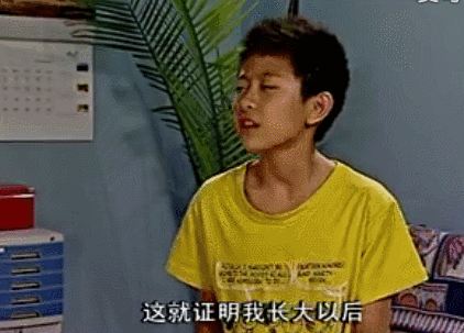 宋丹丹的儿子（伪）