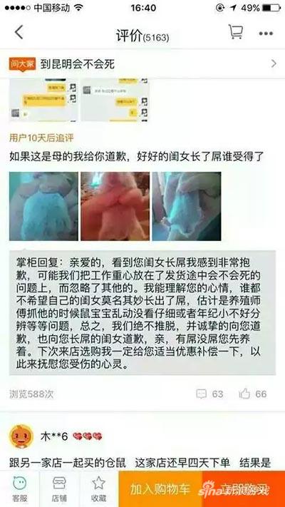 仓鼠那么小也可以？！