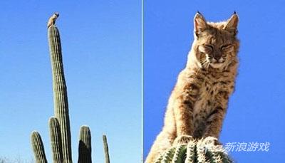 你，对，就是你少年，快把朕弄下来