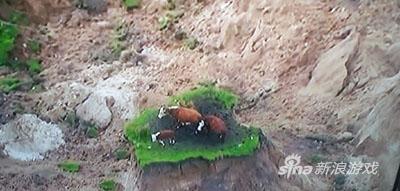 脚下都是吃的，不虚