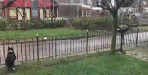 抱抱你，也抱抱我自己