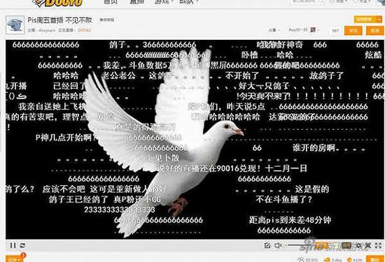 PIS的斗鱼直播间