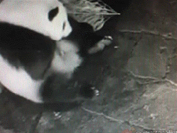 仿佛听到红酒塞的声音