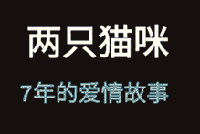 所谓七年之痒啊