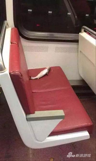 哪里才是我这条咸鱼的容身之处