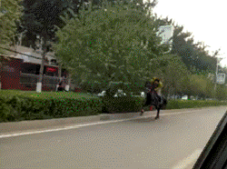 牌号和驾照呢