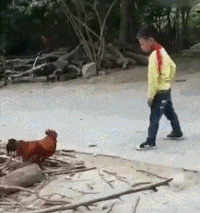 虽然摔倒了，但鲜艳的红领巾正过来了