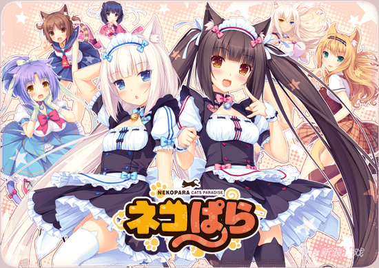 的权益说明,这个众筹真是面向广大猫奴,捐到一定额度还可以由sayori